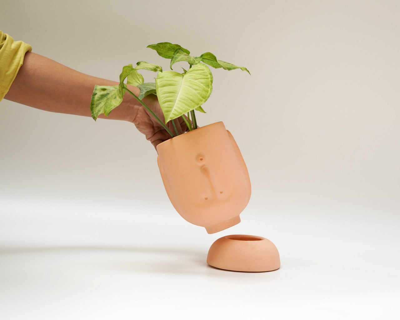 Upturned Planter