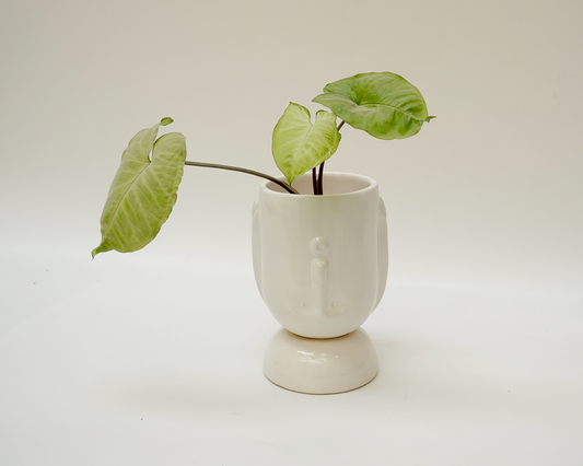 The Party - Unglazed Off White