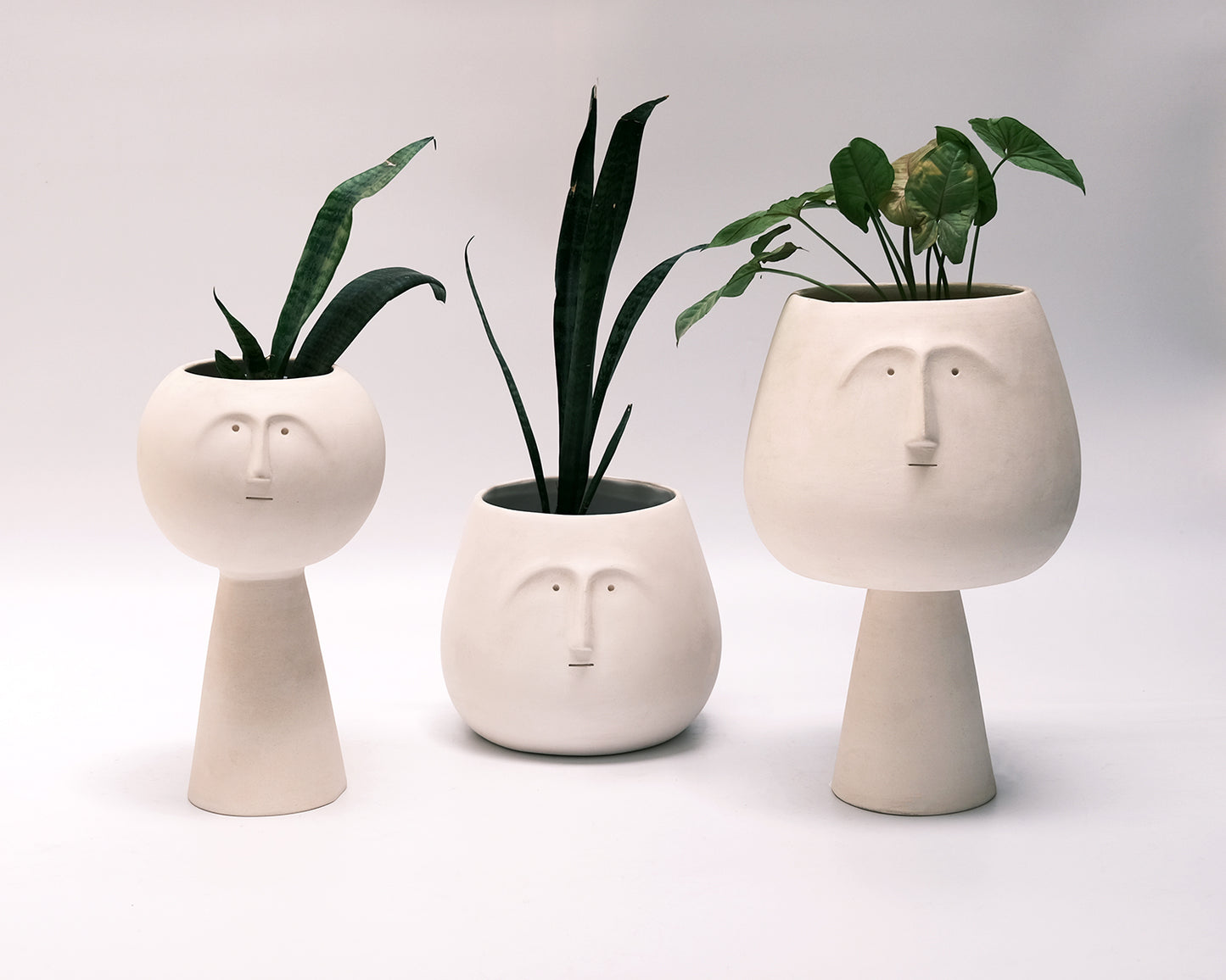 Highbrow Planters