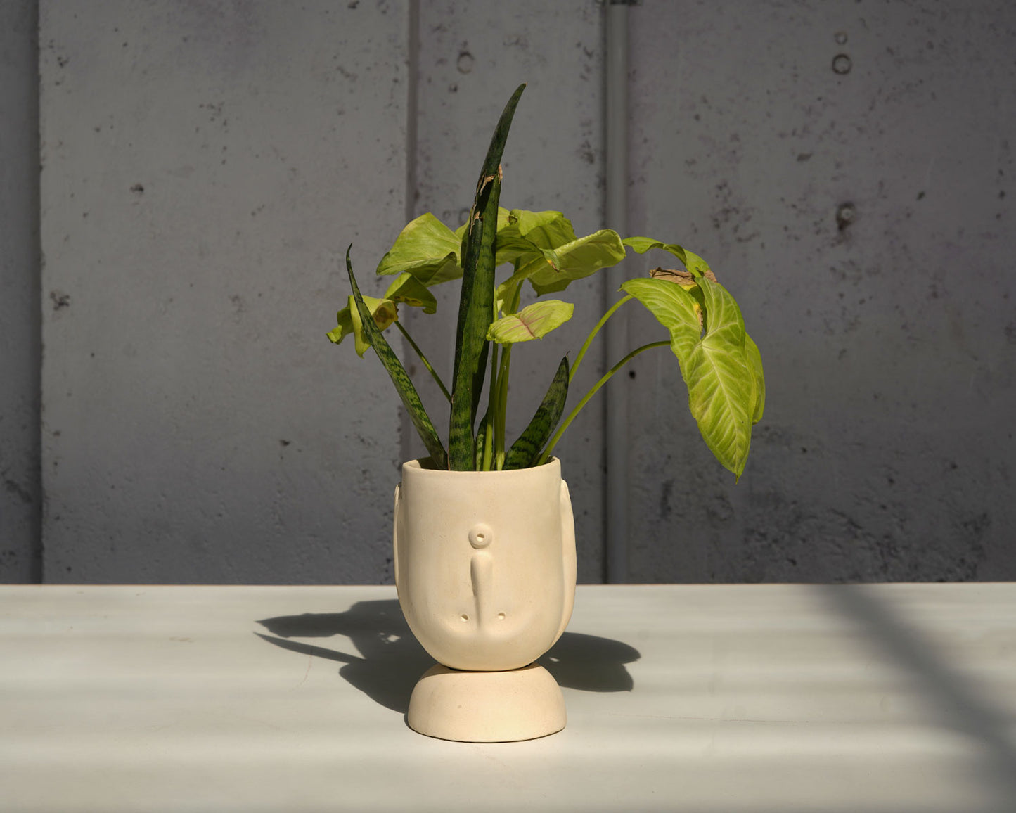 Upturned Planter