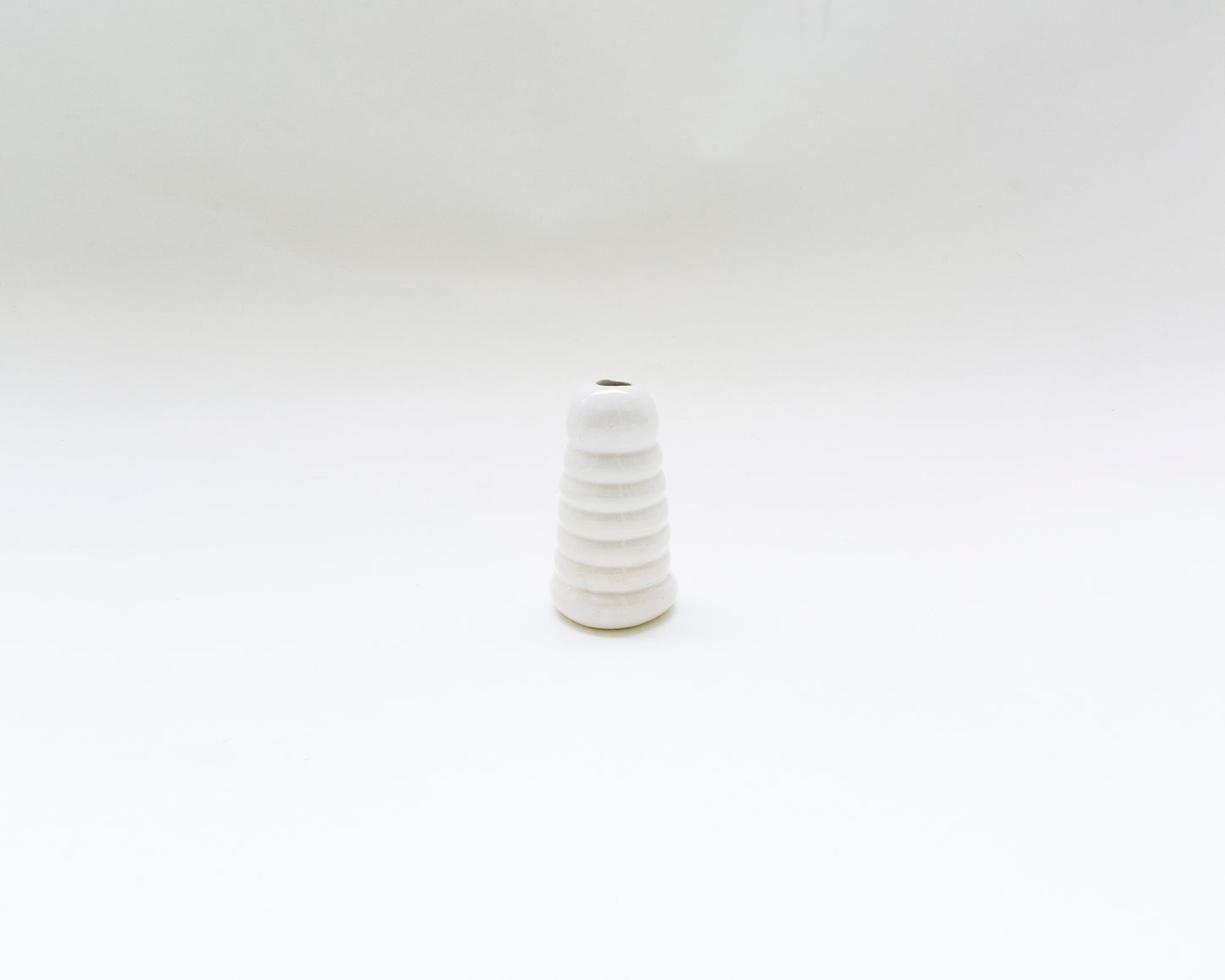 Coiled Water Vase I